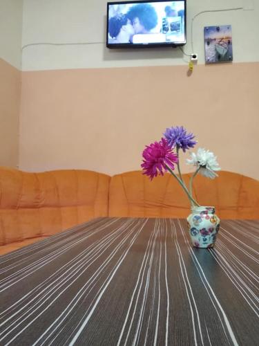 Familia Fantastiko – Kiten
