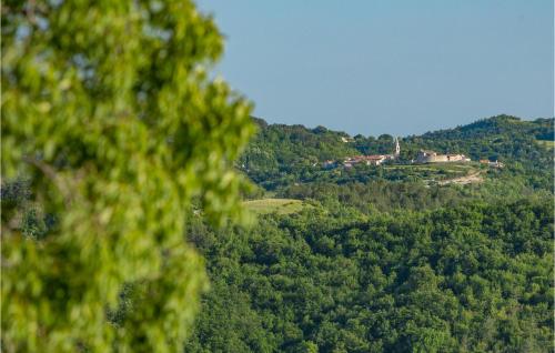 Nice Home In Buzet With Sauna