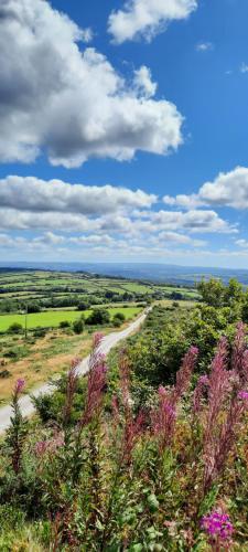 Summit Camping Kit Hill Cornwall Stunning Views Pitch Up or book Bella the Bell Tent