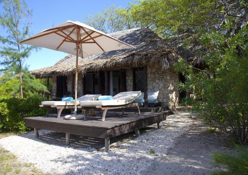 Azura Quilalea图片