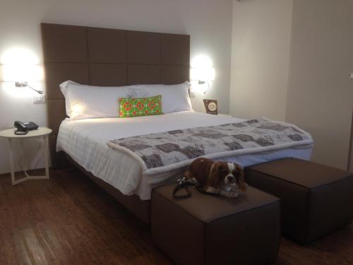 Hotel Piero della Francesca Room Type - Comfort Double or Twin Room