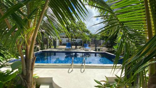 Swimming pool, Rooms & Pool Macaws in Uvita
