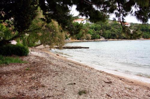 Apartments by the sea Posedarje Novigrad - 6240 - main image