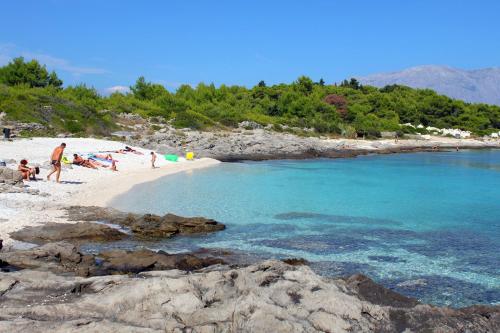 Apartments and rooms by the sea Sumartin, Brac - 13285