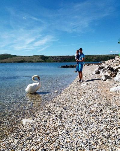  Apartments by the sea Posedarje, Novigrad - 15786 in Posedarje