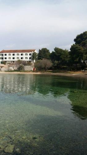 Apartments by the sea Pirovac Sibenik - 16095 - image 14