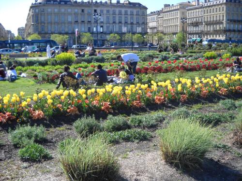 Beautiful Old property in Bordeaux Center, Bordeaux (photo 8)