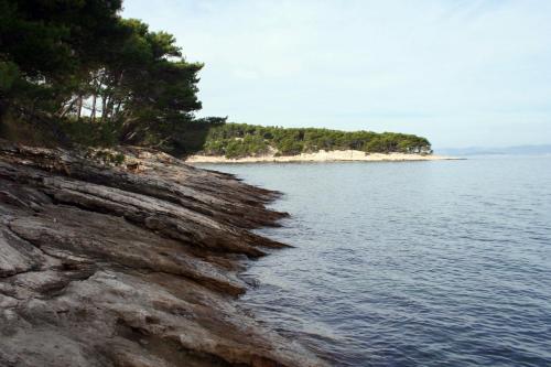 Apartments by the sea Splitska Brac - 2865 - image 4