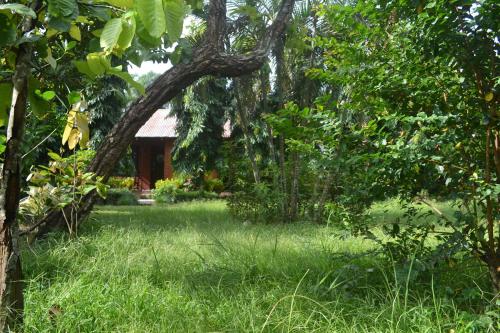 River View Jungle Camp