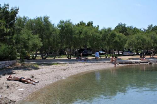  Apartments by the sea Betina, Murter - 16742 in Betina