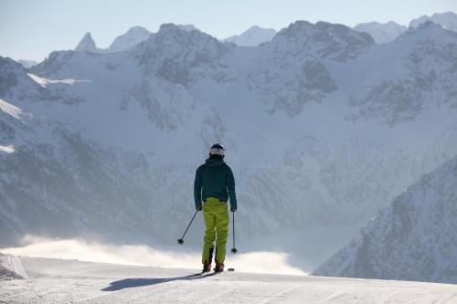 Alpe Oberstdorf - image 6