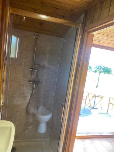 Vale View Glamping 5