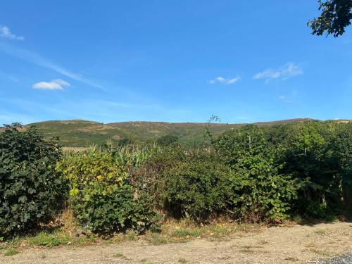 Vale View Glamping in รัททิน