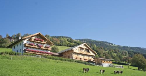 Oberbaumgartnerhof - Hotel - Falzes