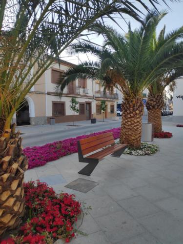 Omgivelser, Apartamento turístico "Mi casina" AT-CC-00782 (Apartamento turistico "Mi casina" AT-CC-00782) in Casar De Caceres