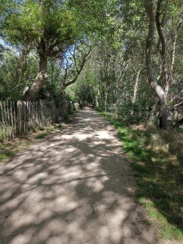 Port Griad, Le Coq (photo 5)