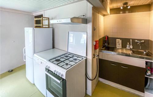 Nice Home In Wierum With Kitchen