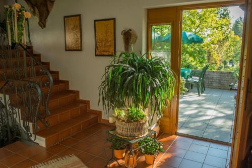 บริการและสิ่งอำนวยความสะดวก, Landhaus Doris in ไพลค์