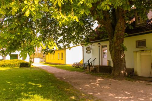 Pension Gestüt Lindenhof - image 7