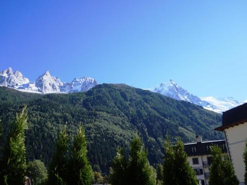 Appartement Chamonix-Mont-Blanc 2 pièces 4 personnes - FR-1-507-29 - image 14