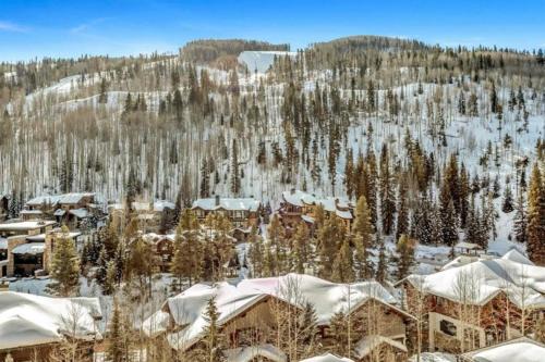 Vail Ritz Carlton 4 Bed - image 2