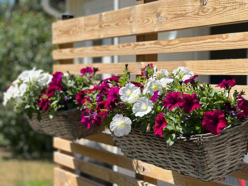 Exterior view, Bittes & Lasses Guest House in Other