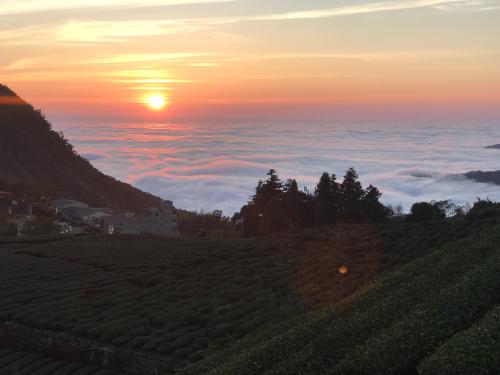 Drizzle Tea House in 阿里山（アーリーシャン）