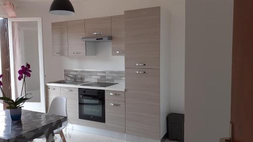 kuhinja, Bel appartement avec grande terrasse ensoleillée et jardin (Bel appartement avec grande terrasse ensoleillee et jardin) in Clos Banet