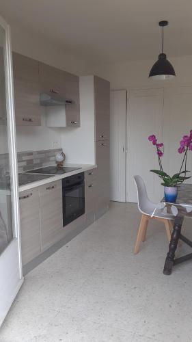 kuhinja, Bel appartement avec grande terrasse ensoleillée et jardin (Bel appartement avec grande terrasse ensoleillee et jardin) in Clos Banet