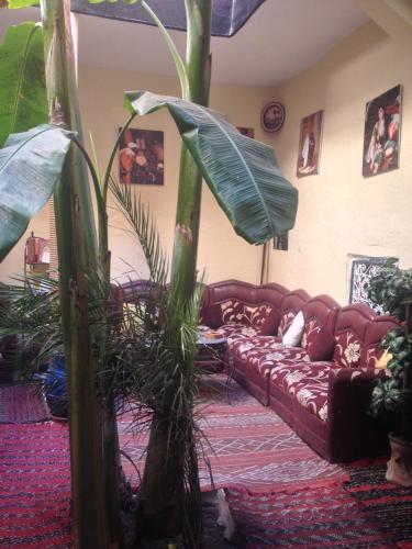 Riad Espagne 3