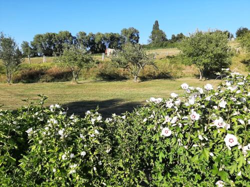 La demeure de Bysance in Mezieres-sous-Lavardin