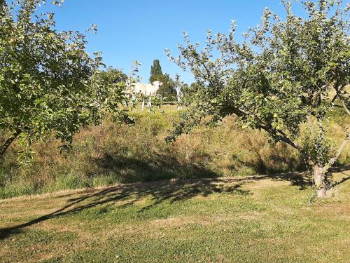 La demeure de Bysance in Mezieres-sous-Lavardin