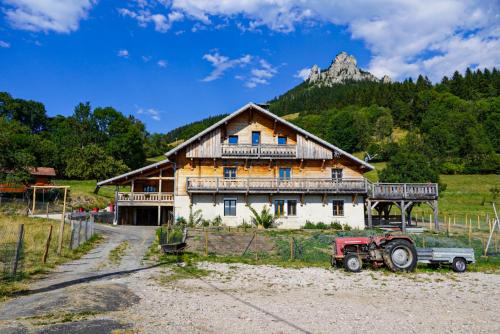 La Ferme De L'âne Rouge - Chalet - Bernex Dent d'Oche