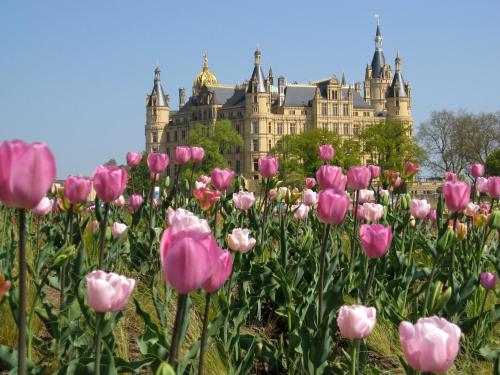 Boulevard Hotel Altstadt Schwerin