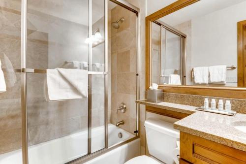 Vail Lion Square 550S - image 10