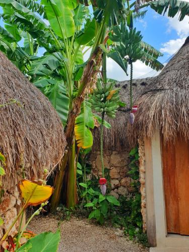 Aldea Che-Eek , con acceso a club de playa privado y desayuno incluido – Bacalar, TX