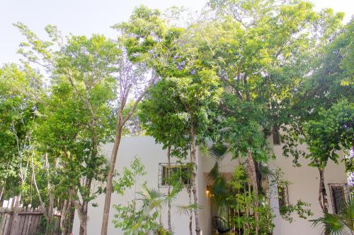Buena onda residence in Tulum, Mexico