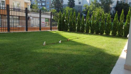 Business and Leisure apartments in Mladost 2 with FREE Garage, Sofia (photo 9)