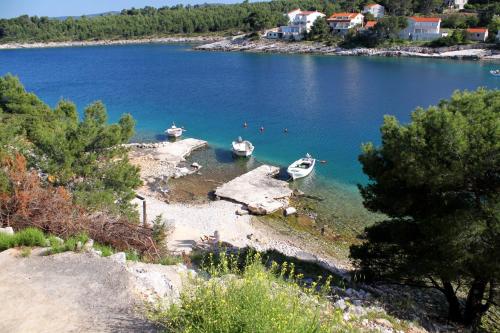 Apartments by the sea Basina, Hvar - 8749