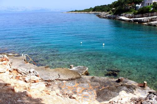 Apartments by the sea Basina, Hvar - 8749