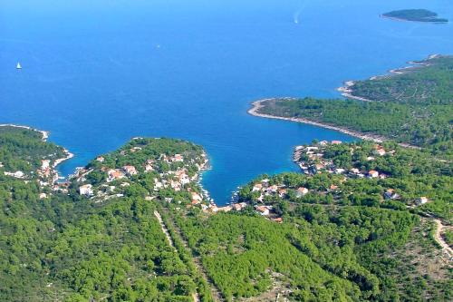 Apartments by the sea Mudri Dolac, Hvar - 595