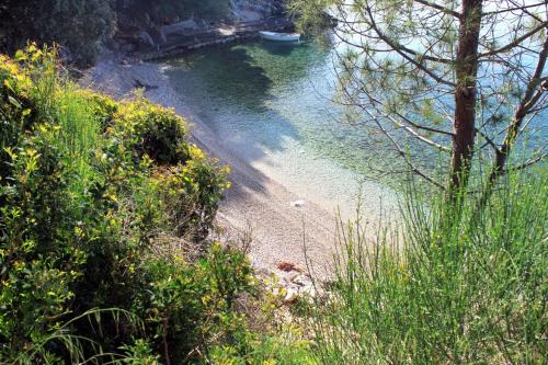 Seaside secluded apartments Cove Rapak, Hvar - 8767