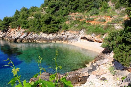 Seaside secluded apartments Cove Rapak, Hvar - 8767