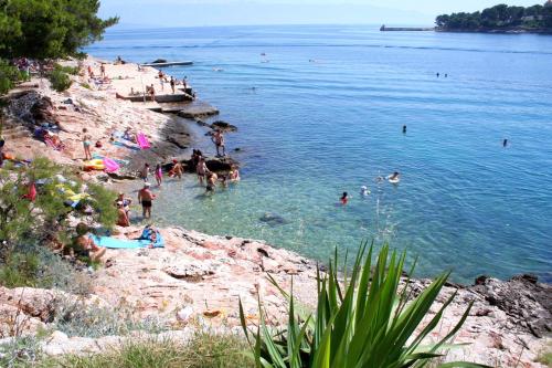  Apartments by the sea Jelsa, Hvar - 12247 in Jelsa