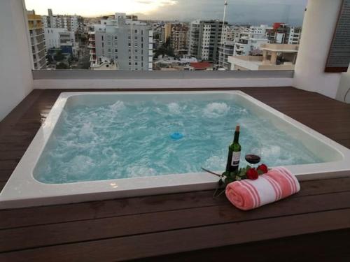 Fabulous High Rise Apt Downtown SD