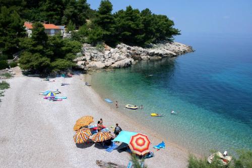 Secluded fisherman's cottage Cove Smokvina Hvar - 13608 - image 3