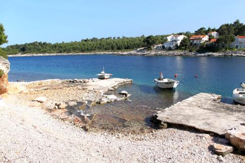 Apartments with a parking space Mudri Dolac, Hvar - 4043