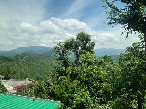 EVERGREEN HOME STAY