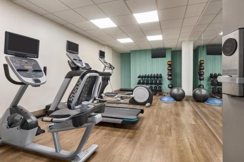 Holiday Inn Express & Suites Greenville-Downtown by IHG - 피트니스 센터