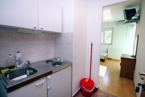 Studio Balica Rat 4868d - image 6